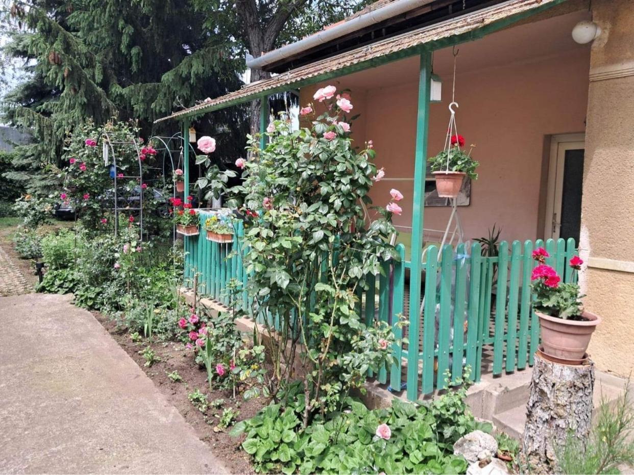 Grany'S Retro Guesthouse Near Budapest Airport Vecsés Eksteriør bilde